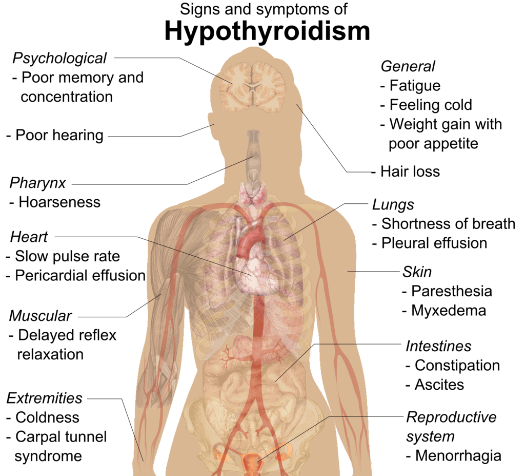 Homeopathic Treatment In India Cancer Kidney Skin Treatment Mumbai 