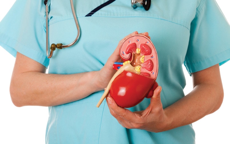  Kidney Specialist In Delhi