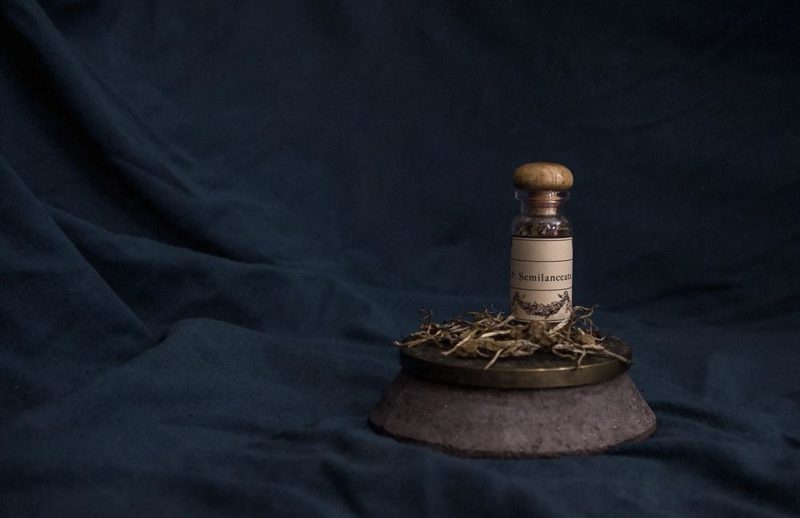 Homeopathy in India - alternative medicine with natural remedies