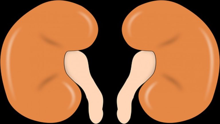 Symptoms of Kidney Failure