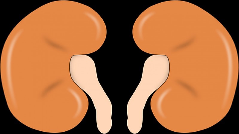 Kidney Failure