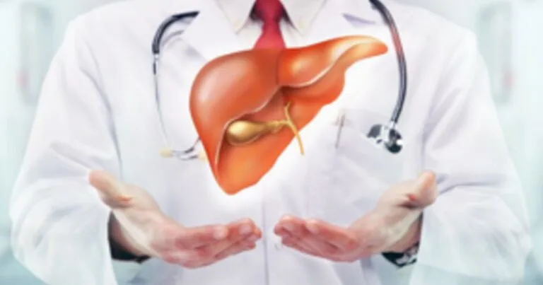 Doctor holding a 3D illustration of a liver in open hands.