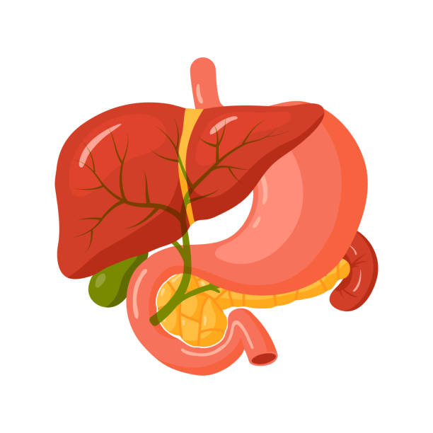 Bile Duct Cancer Homeopathy Treatment