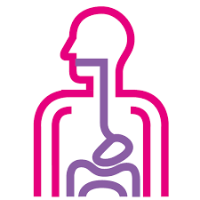 Neuroendocrine Cancer