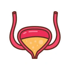 Bladder Cancer Treatment