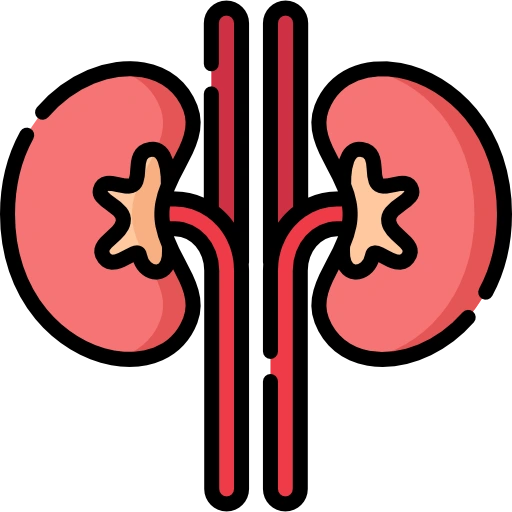 Kidney Cancer Treatment
